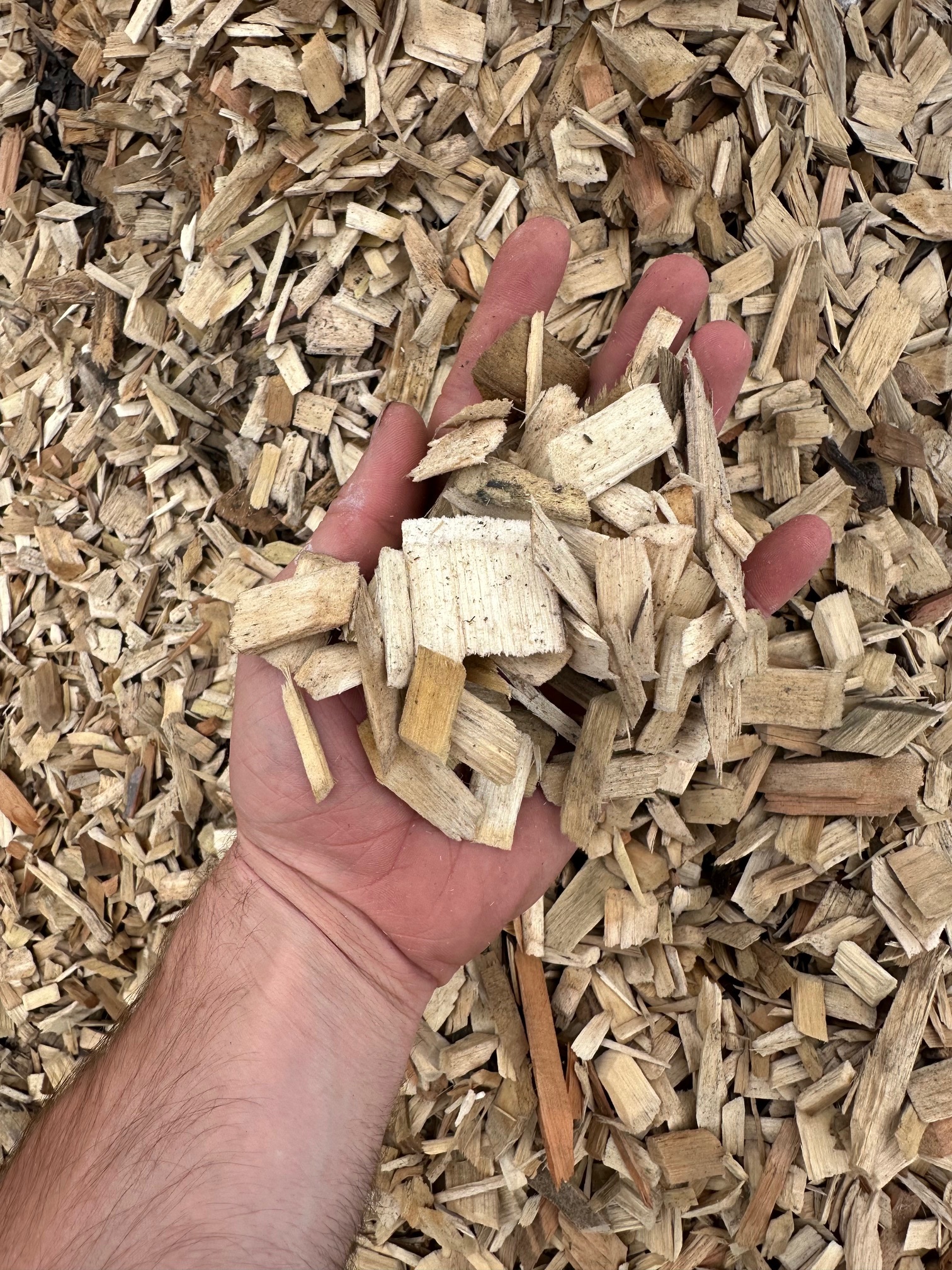 https://shop2.three-z.com/storage/photos/1/Products/Mulch/Wood Chips/WOOD CHIPS 2.jpg